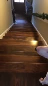15841832402130.webm