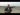 15785675488862.webm