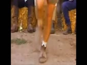 15709874836670.mp4