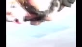 15635566960320.mp4