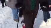 15690834570412.mp4