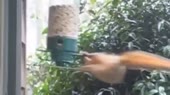 15854309754300.webm