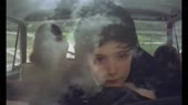 .webm