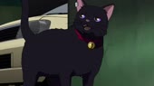 15837438007300.webm