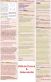 Adrenochrome and Adrenolutin.jpg