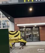 Шёл какой-то день карантина...--31480508456240101.mp4