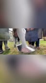 15851167895910.mp4