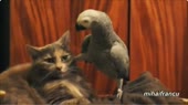 15611364465731.webm