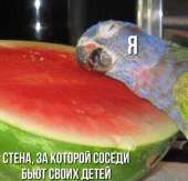 15623871825442.jpg