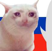 cat1rus.png