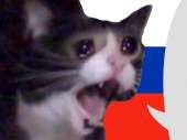 cat2rus.png