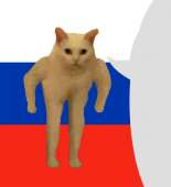 cat5rus.png