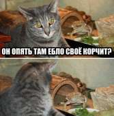 1587165443290.jpeg
