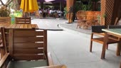 15780525092020.webm
