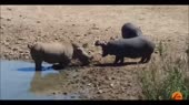 15754947806770.mp4