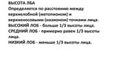 2.webm