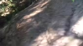 тудэй.webm