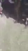 1587571796940.webm