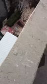 1587574269964.webm