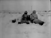 1587576976294.webm