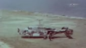 1587577418174.webm