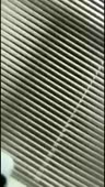 1587317061915.webm