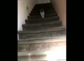 15868098018092.webm
