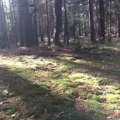 43676815.mp4