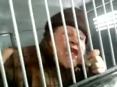 1587588753583.webm