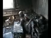 1587590086965.webm
