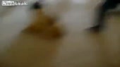 1587590567465.mp4