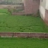 1587590633016.mp4