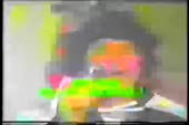 fish heads.webm