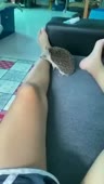 соник.mp4
