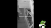 russkekolumbain.webm