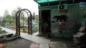 gde dety.webm
