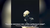 1587596505277.mp4
