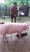 1587597000449.webm