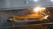15625847252040.mp4