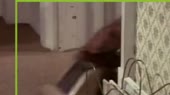 1587602027561.mp4