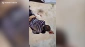 Дикая русня.mp4