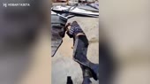 Дикая русня 2.mp4