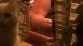 Коте и ебля ^^.webm