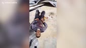Дикая русня.mp4