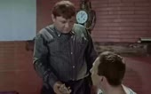 я несу радость а я тебе пасть порву.webm