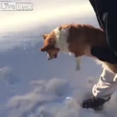 собаку выбрасывают из самолёта.webm