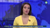 собачка в студии новостей.webm