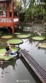 15723510867030.webm