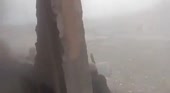 15531137187430.mp4