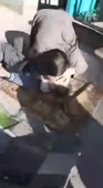 15609721944270.webm